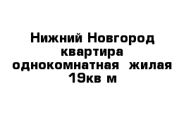 Нижний Новгород квартира однокомнатная  жилая 19кв м